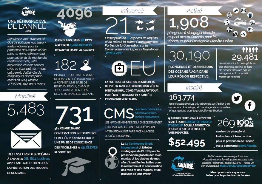 Infographie - Une Rétrospective de l'Année 2014