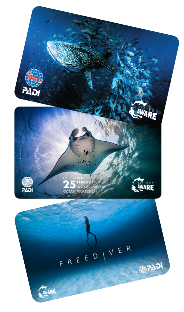 C card option 19 