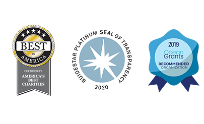 2020 awards