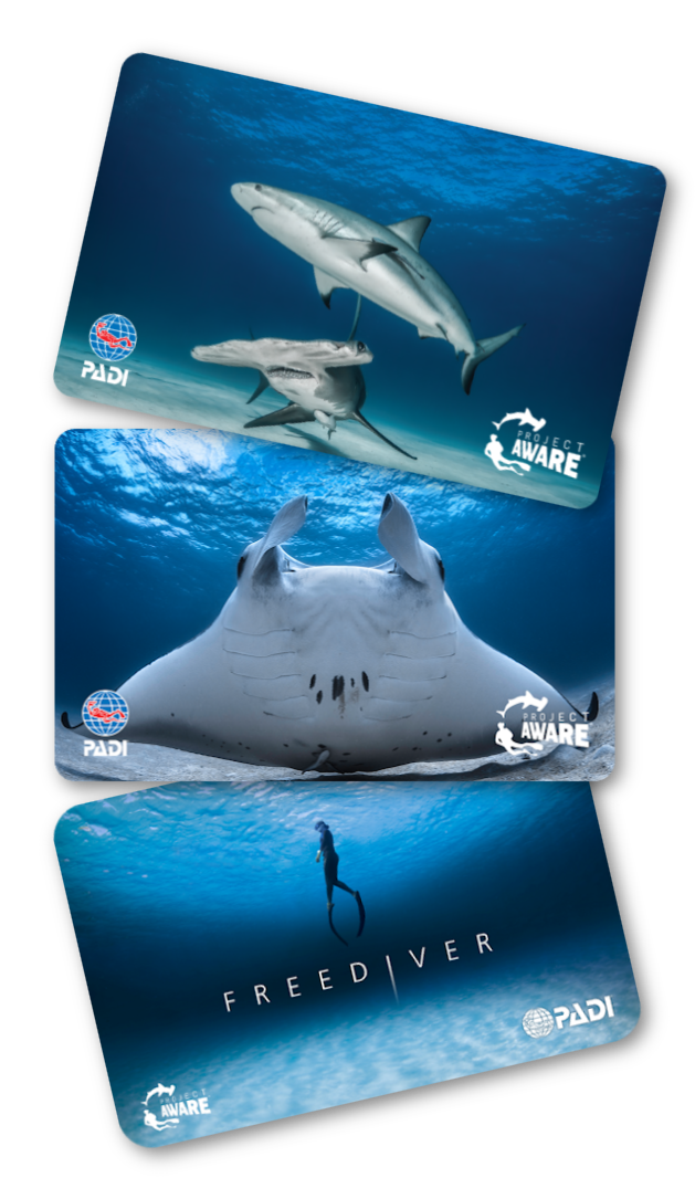 image of Project AWARE limited edition cards 2020