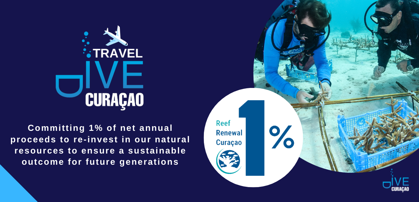 Reef Renewal Curacao