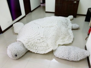Completed turtle - top view