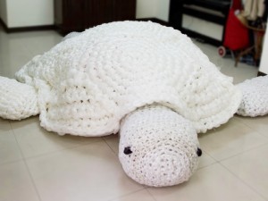 Completed turtle - front view