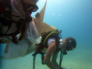 moving back to shore
