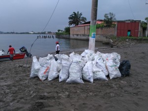 Escombros recolectados