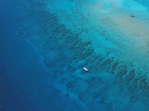 Molasses Reef from the sky. Some sand has shifted to the North. Many of the recognizable Spur and Groove Formations stand strong