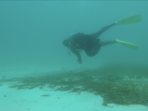 Aqualife Divers Academy House Reef Dive Against Debris Jon Jon Suarez December 2017 4