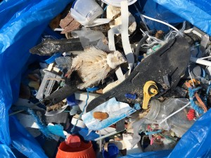 2nd Clean up