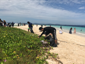 Beach clean 2