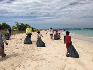 Beach clean 4