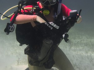 DIVER REMOVING DEBRIS