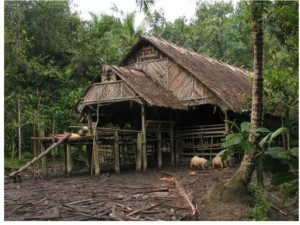 Mentawai's Uma