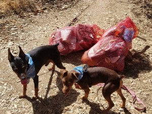 Cleaning up the local hiking trails