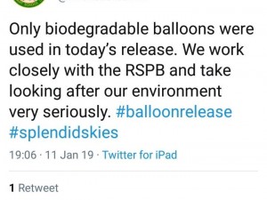 Birches Green Infant School, Splendid Skies, Balloon Release, 11 January 2019, sky littering, don't let go, balloons blow, Rosemary E Lunn, Roz Lunn, X-Ray Mag, XRay Magazine, environment, RSPB 