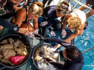 Demonstration of Coral Propagation 