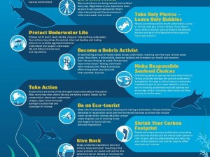 10 Tips