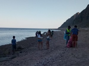 During the clean up 4