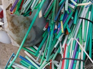 Marine Debris