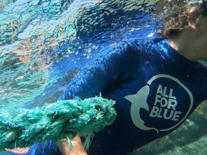 mykonos all for blue 8