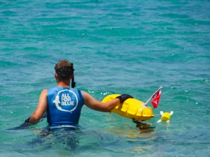 mykonos all for blue 77