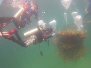 Cleaning project at Rayong province