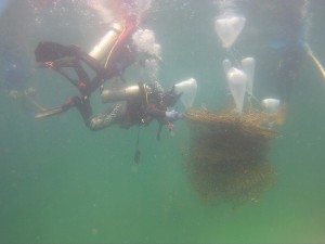 Cleaning project at Chon Buri province