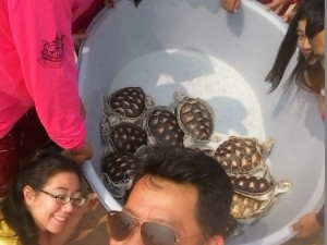 Cleaning project & Conservative Sea Turtle at chumporn province