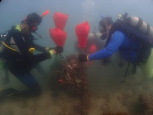 Cleaning project at Rayong province