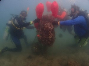 Cleaning project at Rayong province