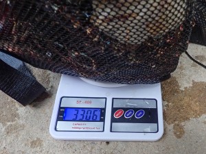 Weighing