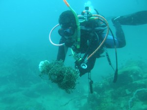 Cleaning project at chonburi province