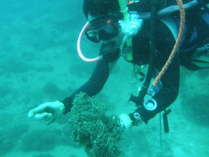 Cleaning project at chonburi province