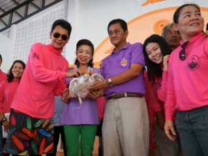 Cleaning project & Conservative Sea Turtle at chumporn province