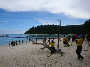 Clean up in Koh Rok 