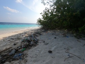 Beach Clean Up