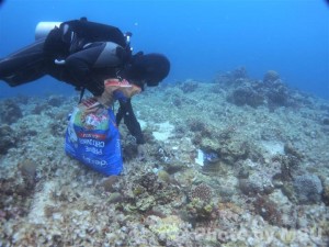 cleaning dive