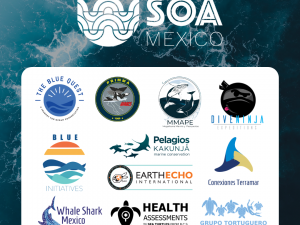 SOA Mexico