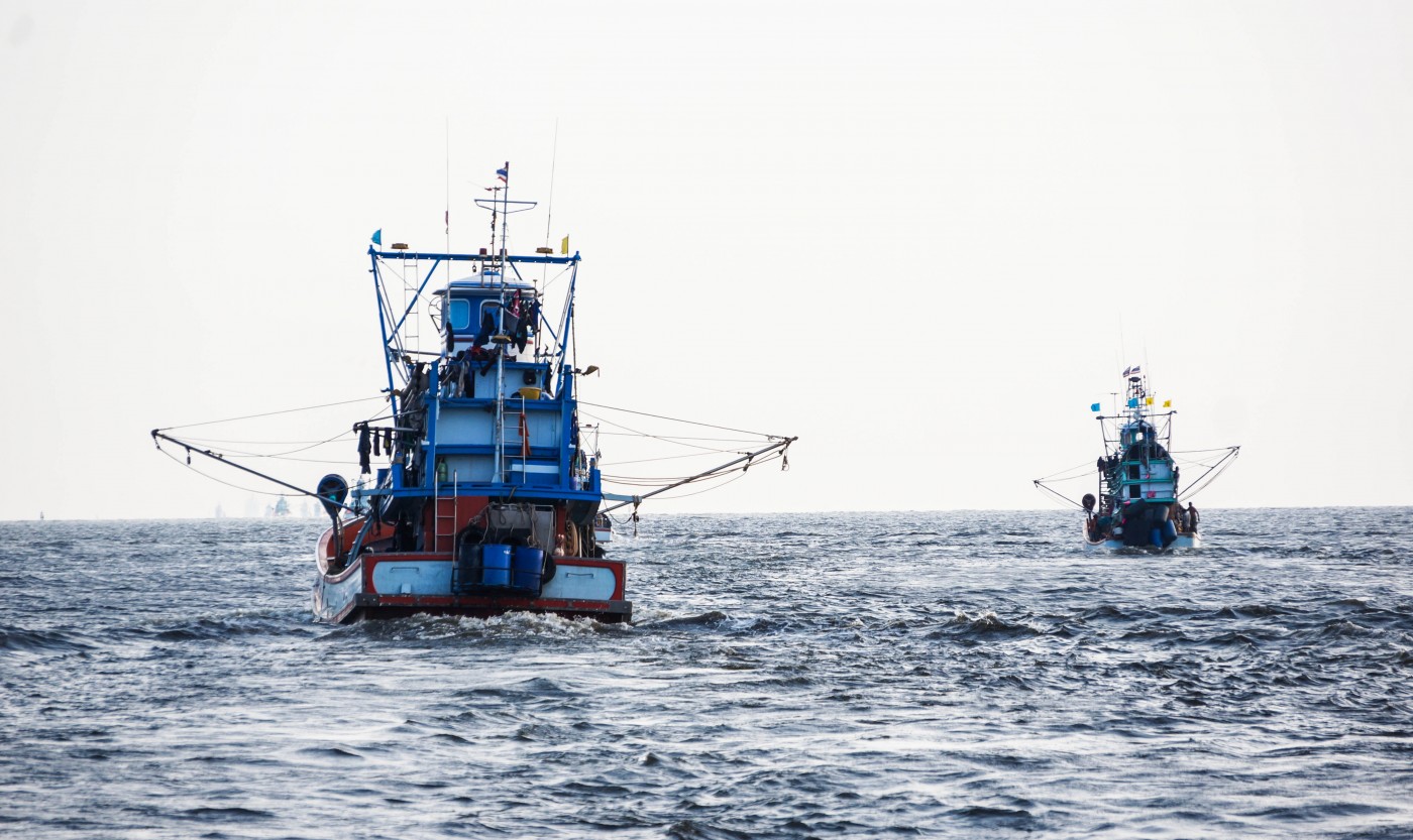 RFMOs: Fishing at high sea