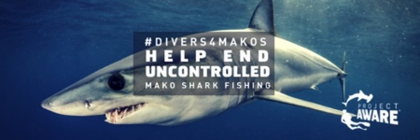 #Divers4Makos