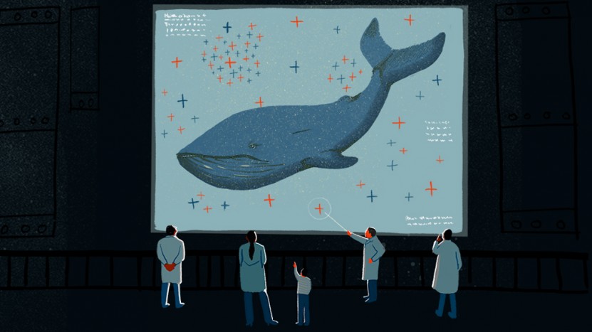 A smart book for today’s kids about one of the biggest environmental challenges of our age, plastic pollution – and how to solve it.