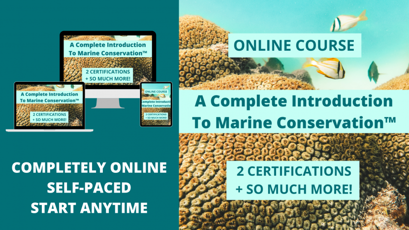 Marine Conservation Online Course