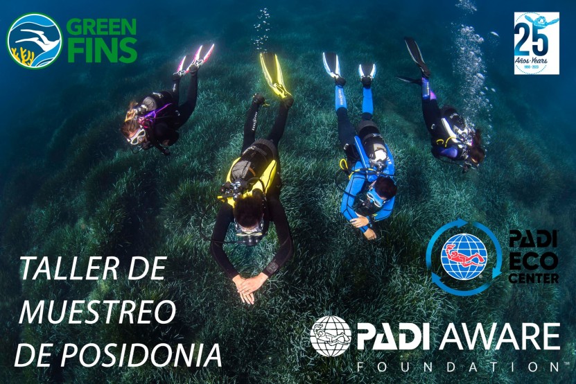 Taller muestreo Posidonia