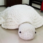 Worlds Largest Crochet Turtle - Plastic Pollution Series