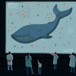 A smart book for today’s kids about one of the biggest environmental challenges of our age, plastic pollution – and how to solve it.