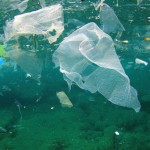 HOW TO USE LESS PLASTIC