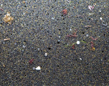 Researchers Weather Microplastic to Understand Global Marine Debris Problem