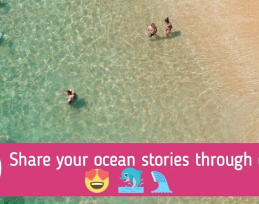 Seas At Risk Launches a Campaign to Save EU Seas by 2020 #emojiocean
