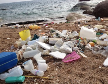 We can Sustainably Manage the Environment