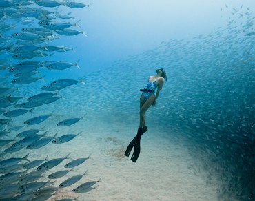 Ocean Film Festival World Tour