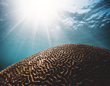 Roadmap for Detecting Changes in Ocean Due to Climate Change